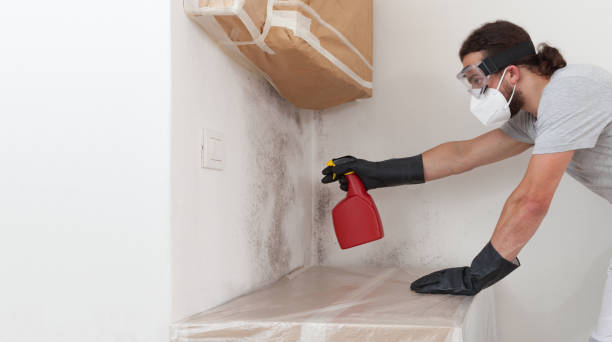 Professional Mold Removal technician working in Haledon, NJ