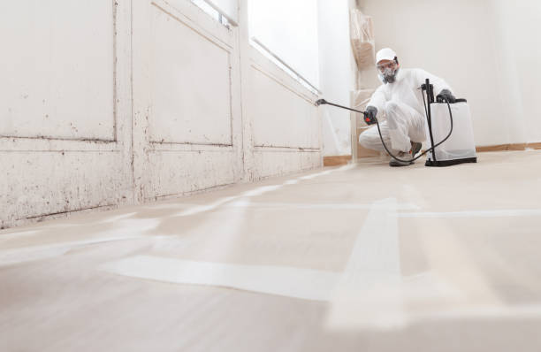 24/7 Emergency Mold Removal experts in Haledon, NJ
